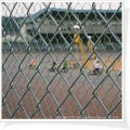 2015,TianYue Honest sell (electro & hot dipped galvanized )Chain Link Fence in China(manufacturer)